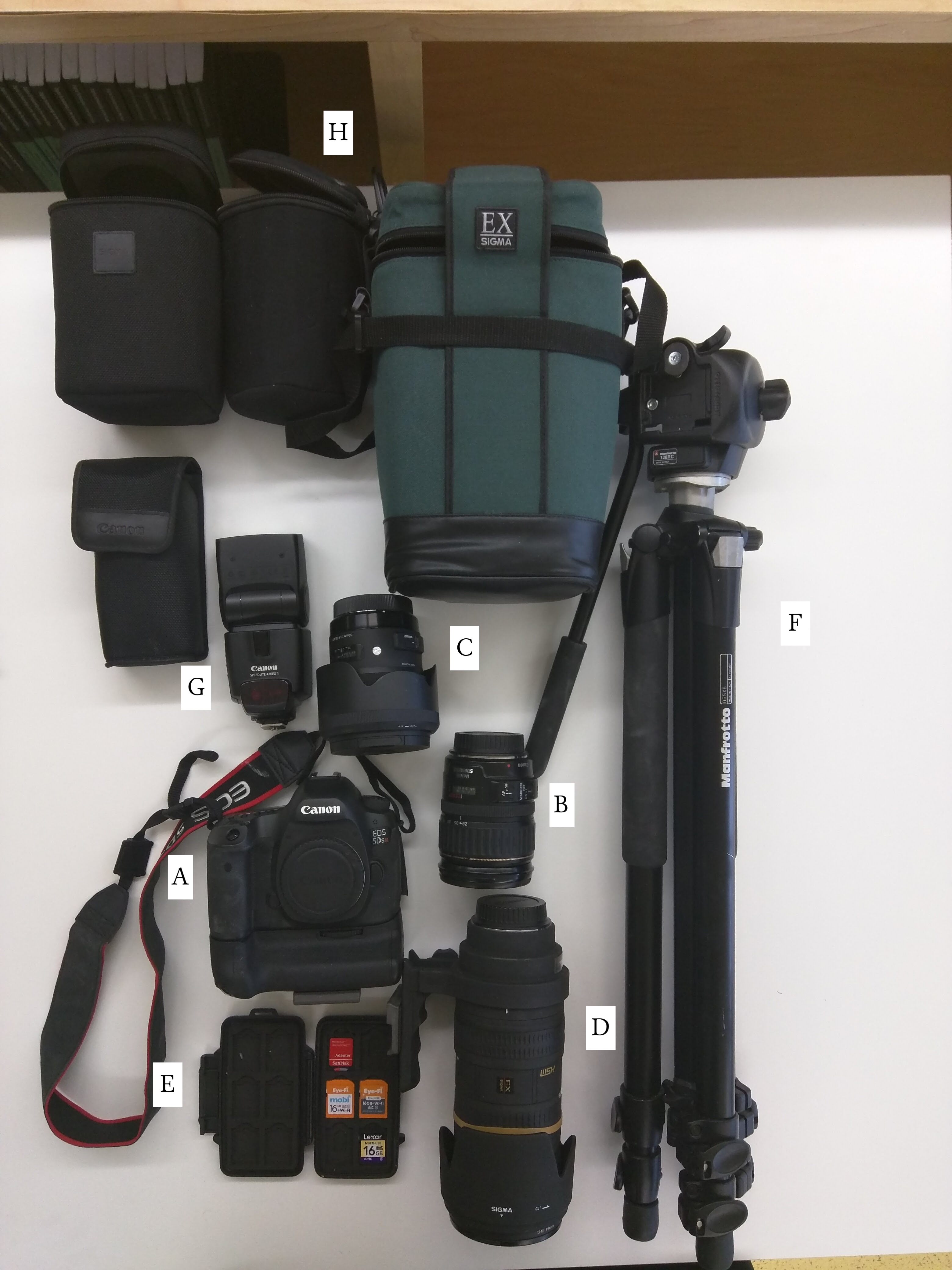 a picture of a camera, several lenses, some SD cards, a tripod, and a flash.